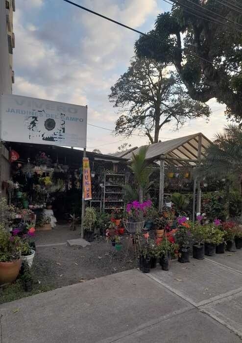 VIVERO JARDINES DEL CAMPO IBAGUE