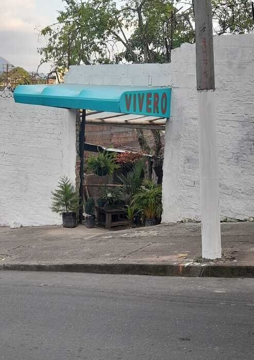 vivero el boga Ibague