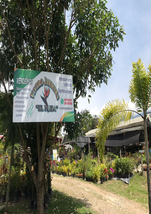 VIVERO JARDINES EL PAISA